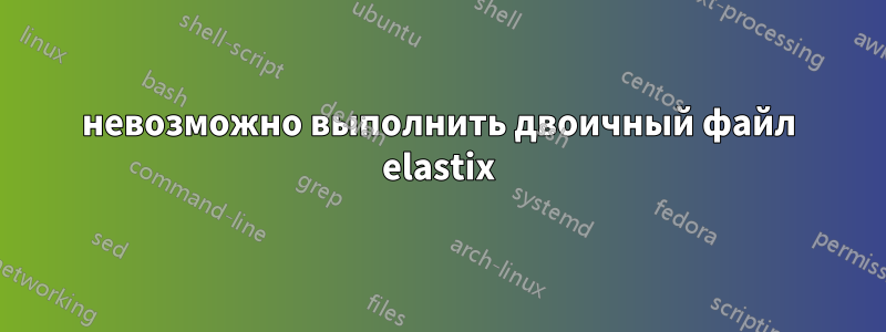 невозможно выполнить двоичный файл elastix