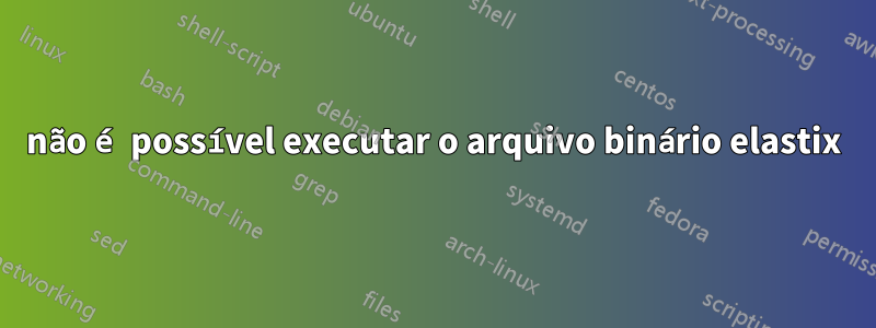 não é possível executar o arquivo binário elastix