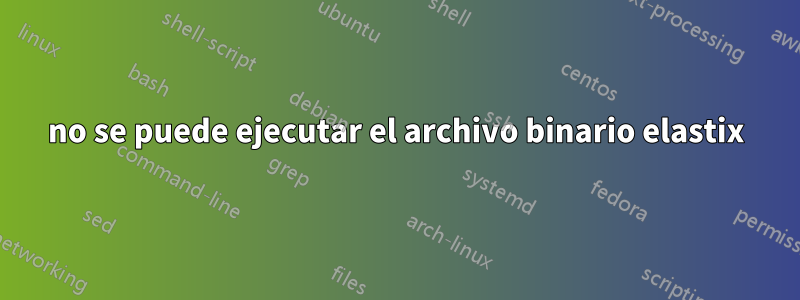 no se puede ejecutar el archivo binario elastix