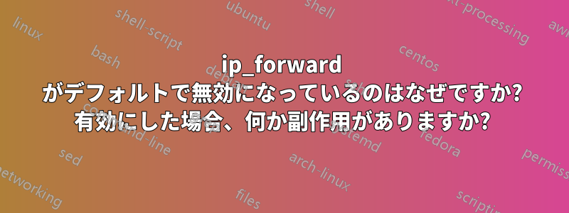 ip_forward がデフォルトで無効になっているのはなぜですか? 有効にした場合、何か副作用がありますか?