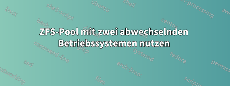 ZFS-Pool mit zwei abwechselnden Betriebssystemen nutzen