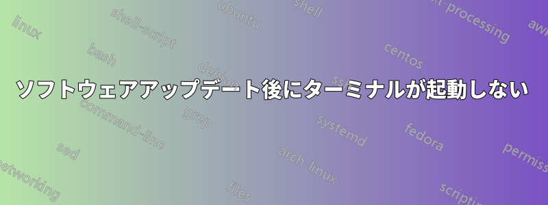 ソフトウェアアップデート後にターミナルが起動しない