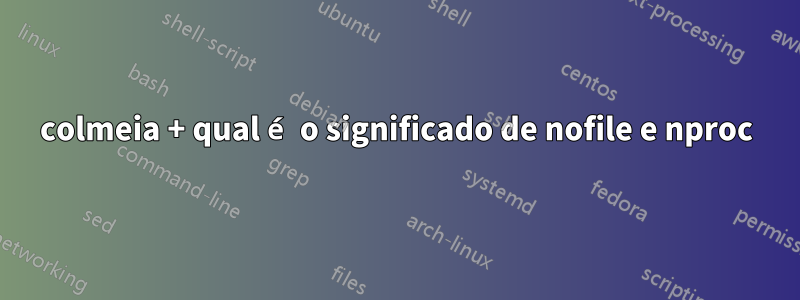 colmeia + qual é o significado de nofile e nproc