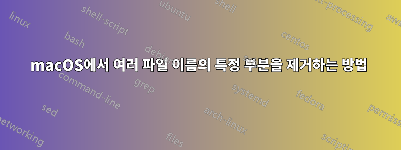 macOS에서 여러 파일 이름의 특정 부분을 제거하는 방법