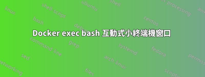 Docker exec bash 互動式小終端機窗口