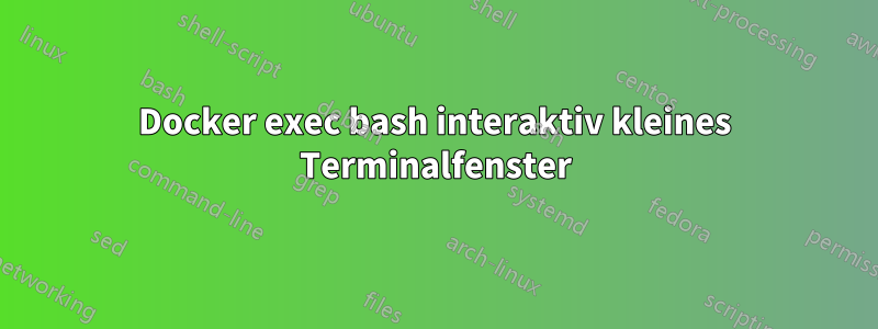 Docker exec bash interaktiv kleines Terminalfenster