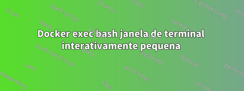 Docker exec bash janela de terminal interativamente pequena