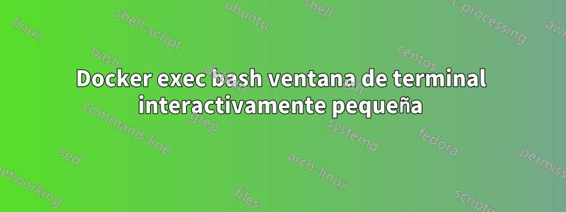 Docker exec bash ventana de terminal interactivamente pequeña