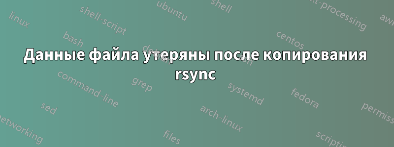 Данные файла утеряны после копирования rsync