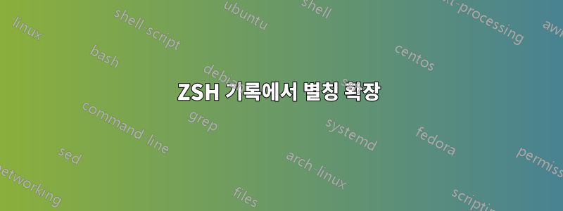 ZSH 기록에서 별칭 확장