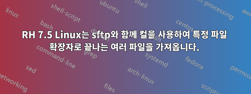 RH 7.5 Linux는 sftp와 함께 컬을 사용하여 특정 파일 확장자로 끝나는 여러 파일을 가져옵니다.