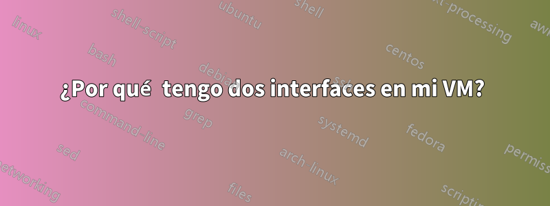 ¿Por qué tengo dos interfaces en mi VM?