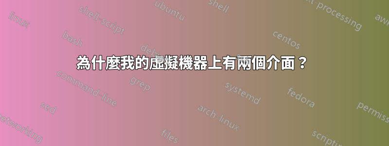 為什麼我的虛擬機器上有兩個介面？