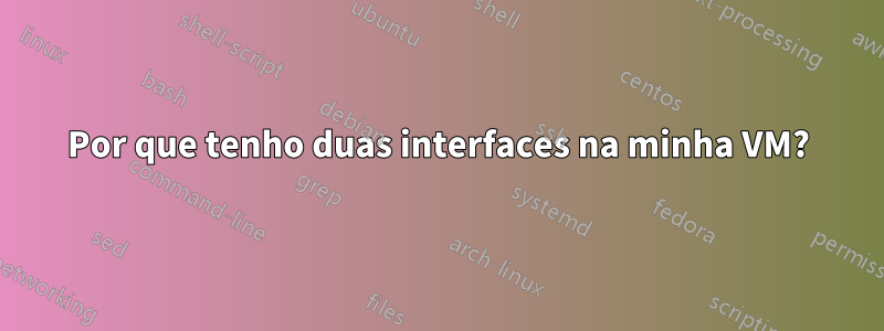 Por que tenho duas interfaces na minha VM?