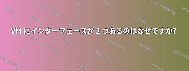 VM にインターフェースが 2 つあるのはなぜですか?