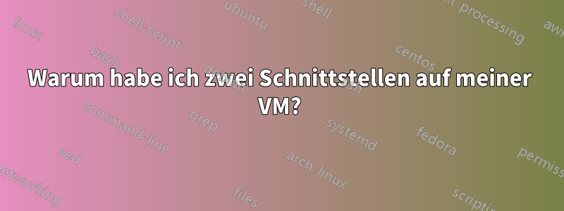 Warum habe ich zwei Schnittstellen auf meiner VM?