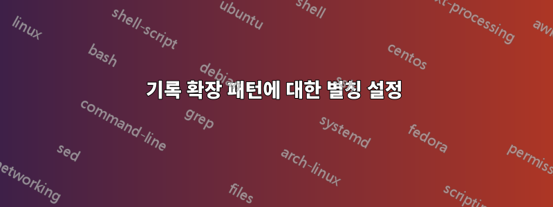 기록 확장 패턴에 대한 별칭 설정