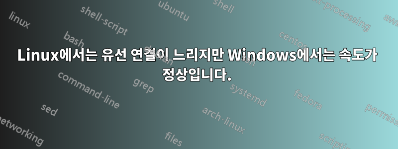 Linux에서는 유선 연결이 느리지만 Windows에서는 속도가 정상입니다.