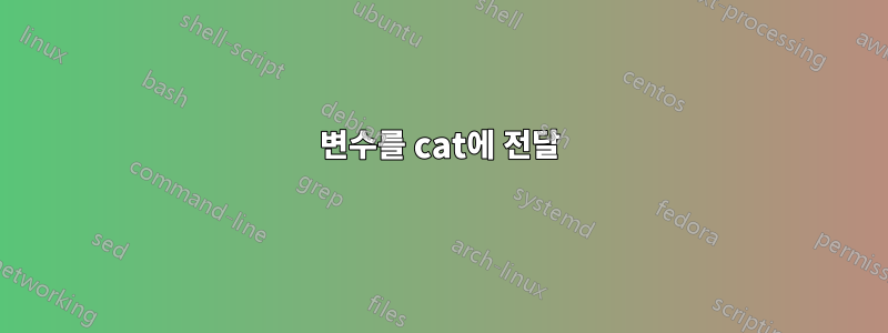 변수를 cat에 전달