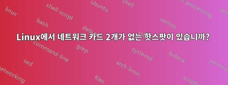 Linux에서 네트워크 카드 2개가 없는 핫스팟이 있습니까?