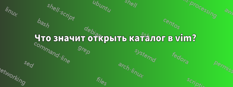 Что значит открыть каталог в vim?