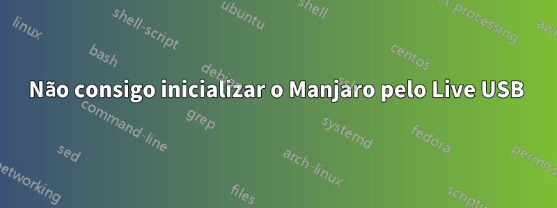 Não consigo inicializar o Manjaro pelo Live USB