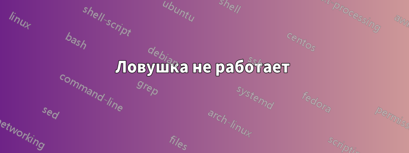 Ловушка не работает