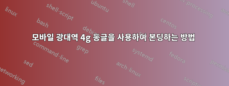 모바일 광대역 4g 동글을 사용하여 본딩하는 방법