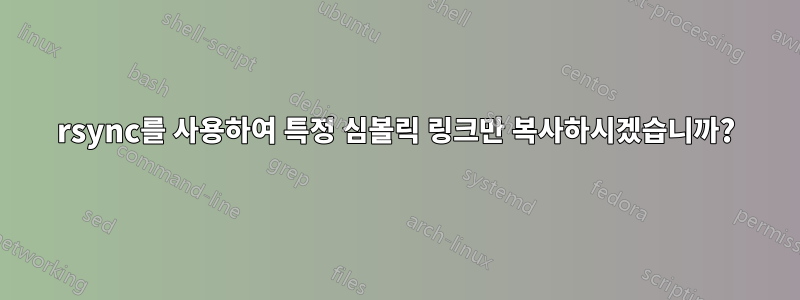 rsync를 사용하여 특정 심볼릭 링크만 복사하시겠습니까?