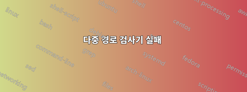 다중 경로 검사기 실패