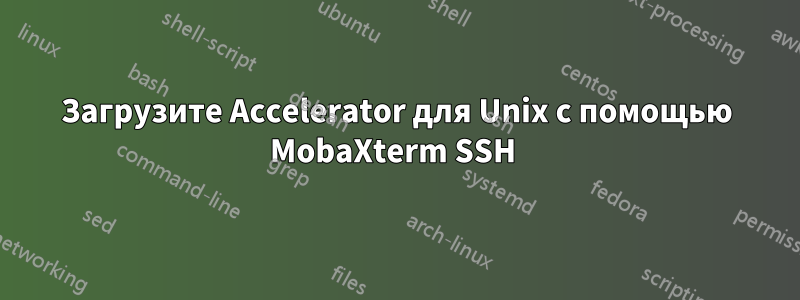 Загрузите Accelerator для Unix с помощью MobaXterm SSH 