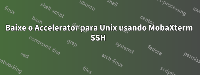 Baixe o Accelerator para Unix usando MobaXterm SSH 