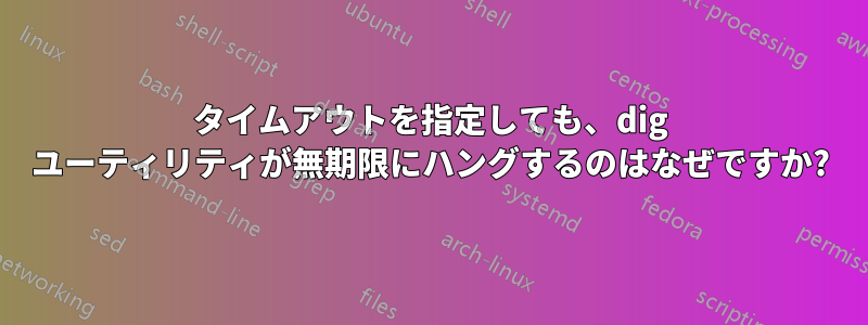 タイムアウトを指定しても、dig ユーティリティが無期限にハングするのはなぜですか?