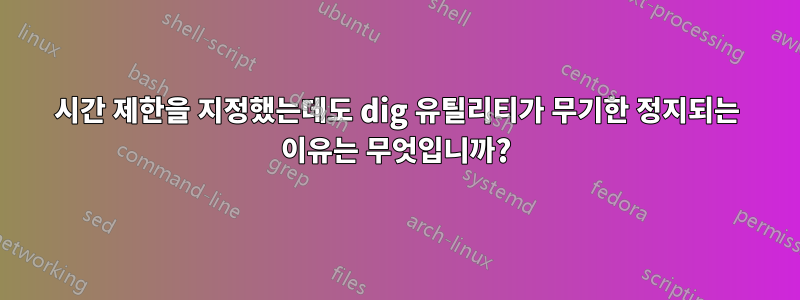 시간 제한을 지정했는데도 dig 유틸리티가 무기한 정지되는 이유는 무엇입니까?