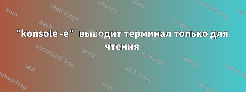 "konsole -e" выводит терминал только для чтения