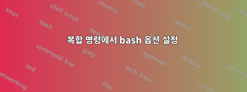 복합 명령에서 bash 옵션 설정