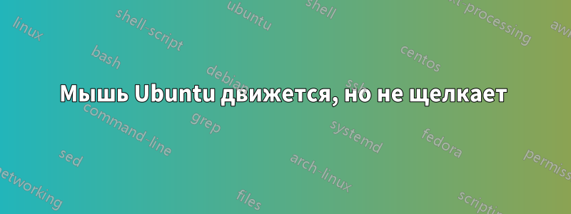 Мышь Ubuntu движется, но не щелкает