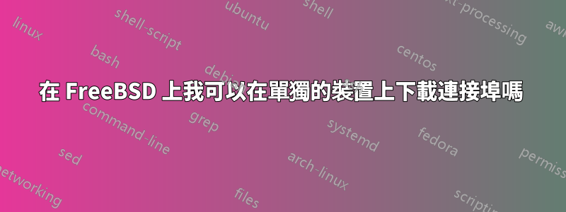 在 FreeBSD 上我可以在單獨的裝置上下載連接埠嗎