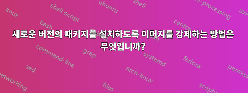 새로운 버전의 패키지를 설치하도록 이머지를 강제하는 방법은 무엇입니까?