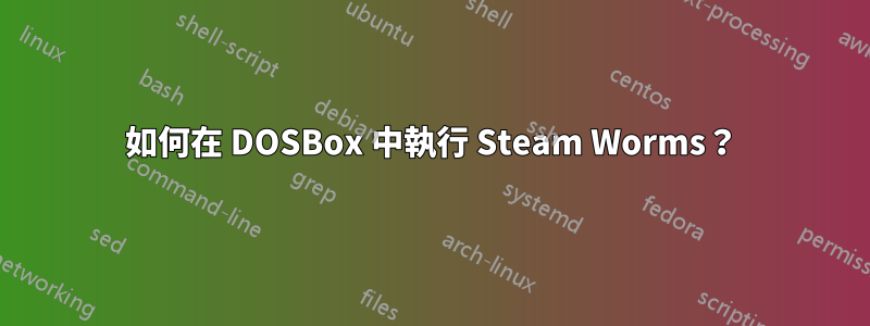 如何在 DOSBox 中執行 Steam Worms？