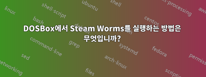 DOSBox에서 Steam Worms를 실행하는 방법은 무엇입니까?