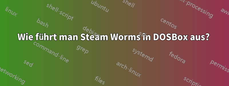 Wie führt man Steam Worms in DOSBox aus?