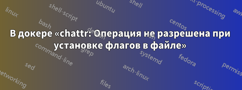 В докере «chattr: Операция не разрешена при установке флагов в файле»