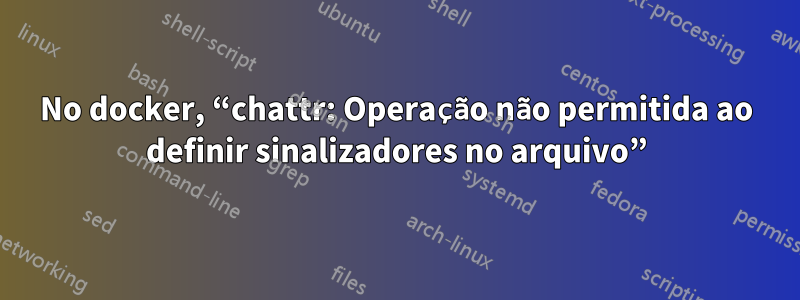 No docker, “chattr: Operação não permitida ao definir sinalizadores no arquivo”