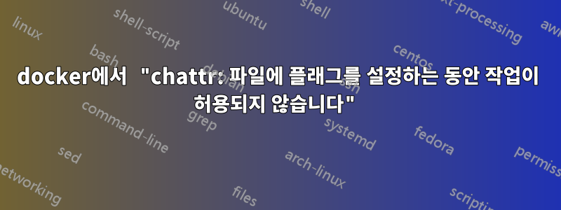 docker에서 "chattr: 파일에 플래그를 설정하는 동안 작업이 허용되지 않습니다"