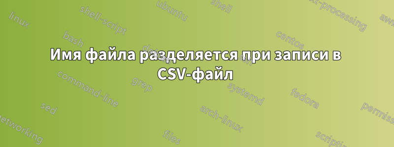 Имя файла разделяется при записи в CSV-файл