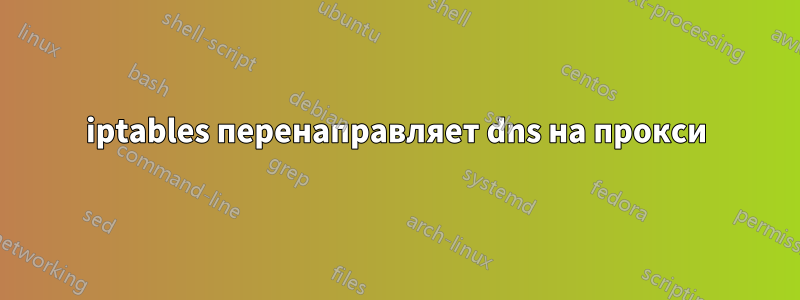 iptables перенаправляет dns на прокси