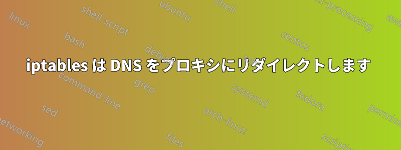 iptables は DNS をプロキシにリダイレクトします