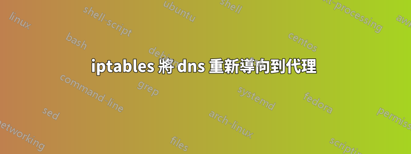 iptables 將 dns 重新導向到代理