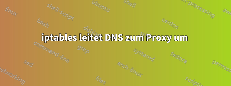 iptables leitet DNS zum Proxy um